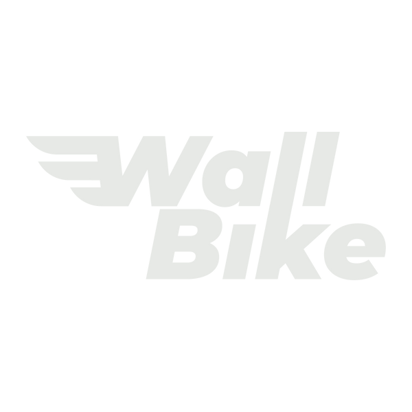 The WallBike